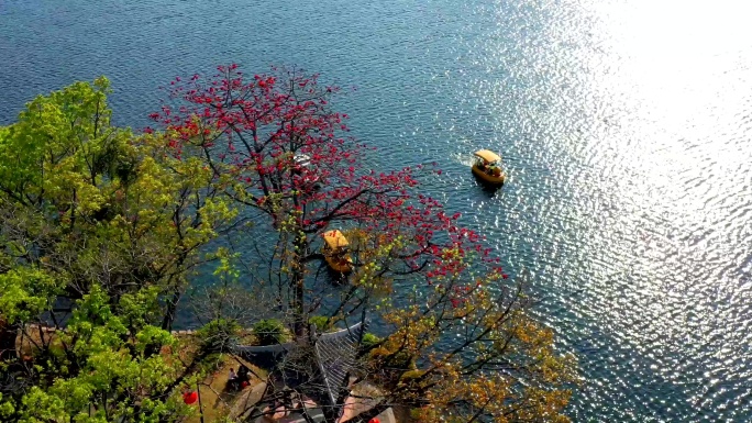 精选西湖木棉小船航拍大景