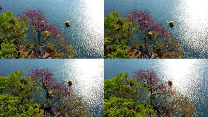 精选西湖木棉小船航拍大景