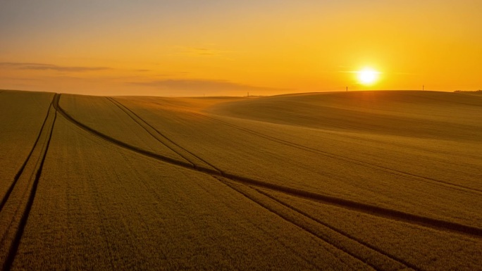 时间流逝的日出在田园诗般的金色小麦上