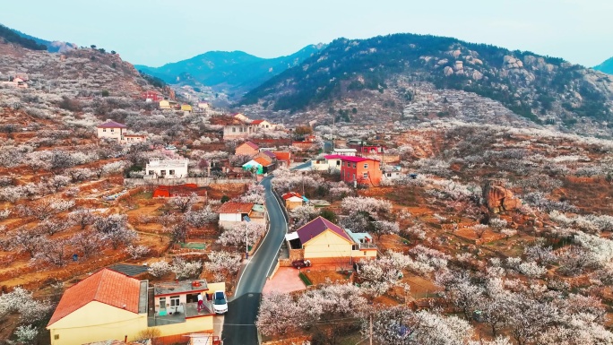 山东青岛春天的崂山山村卧龙村