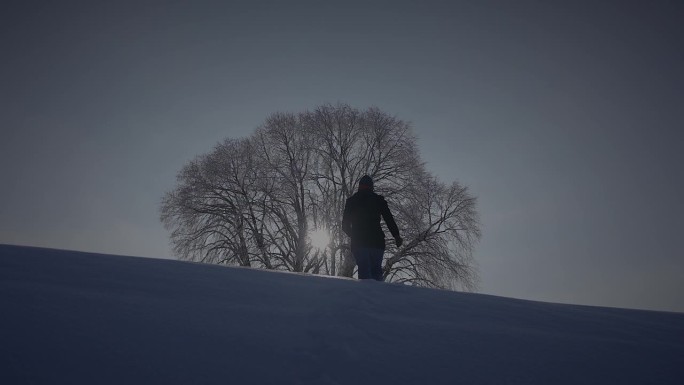 男人走在深雪中看着一棵树