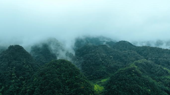 多段广西-喀斯特山区林地烟雨朦胧