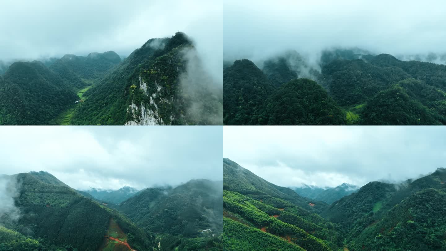 多段广西-喀斯特山区林地烟雨朦胧