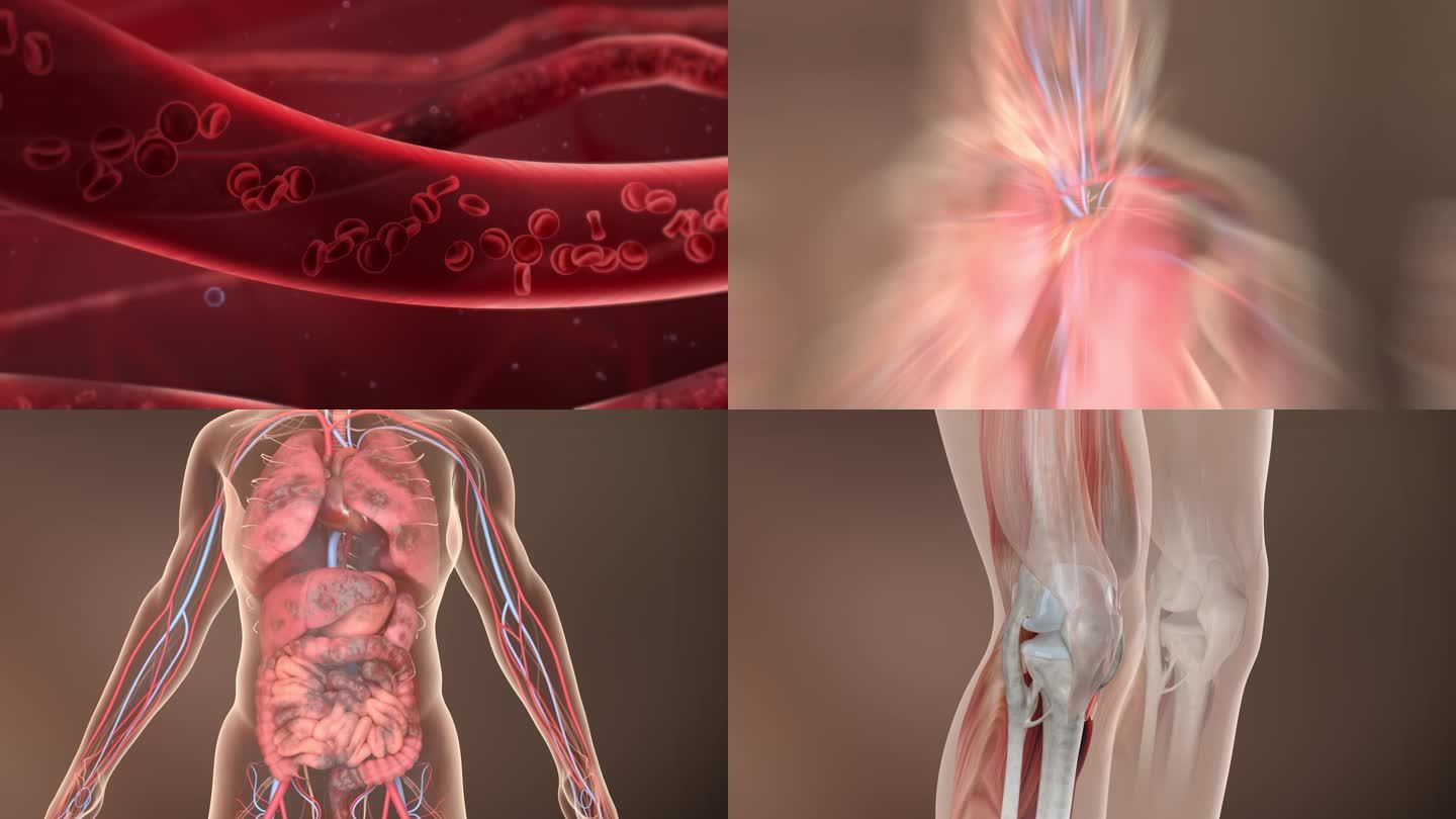 供血不足 血液流动 人体器官 血管老化