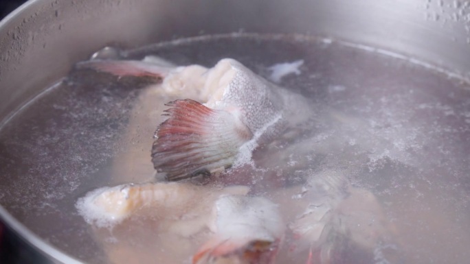 煮鱼汤鱼汤，鳟鱼，沸水特写。有选择性的重点