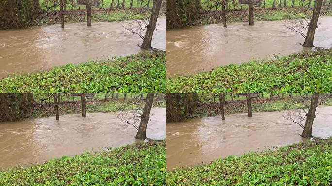 大雨滂沱，河水湍急。水体动力学