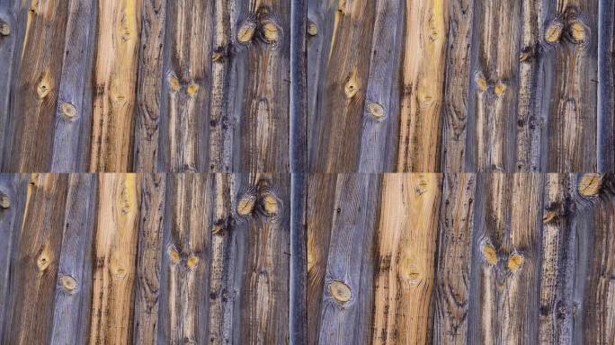 木质背景，腐烂的木头上有年轮的旧谷仓板，新墨西哥