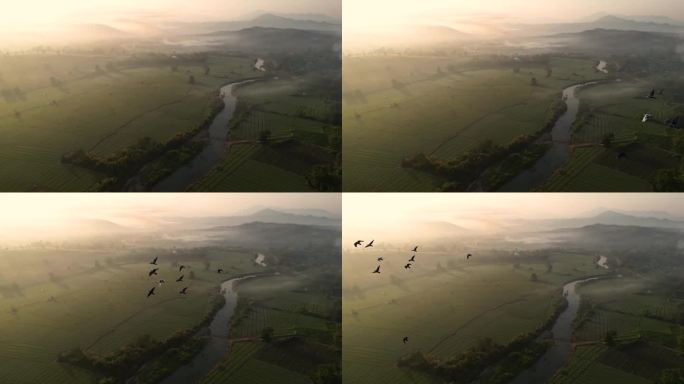 清晨，一群鸟在河流和山谷的上空飞翔