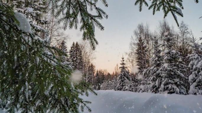 冬季景观与美丽的降雪，延时，相机运动，超延时，相机运动