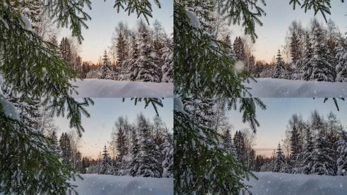 冬季景观与美丽的降雪，延时，相机运动，超延时，相机运动