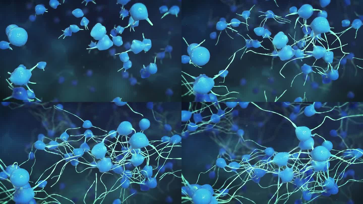 蓝色细胞生长动画设计