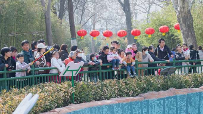 济南动物园 大熊猫 周末溜达 亲子游玩