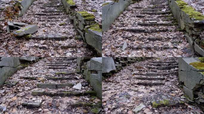 秋天的公园里，长满青苔的古老石阶的废墟。