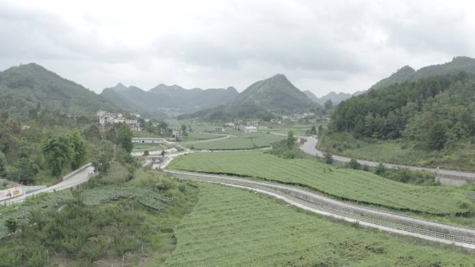 新农村房屋田野