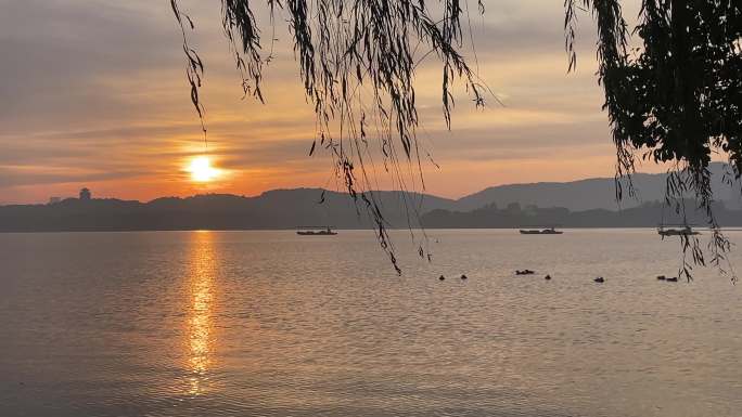 西湖风景清晨日出朝阳鸳鸯鸟声船只素材