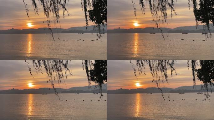 西湖风景清晨日出朝阳鸳鸯鸟声船只素材