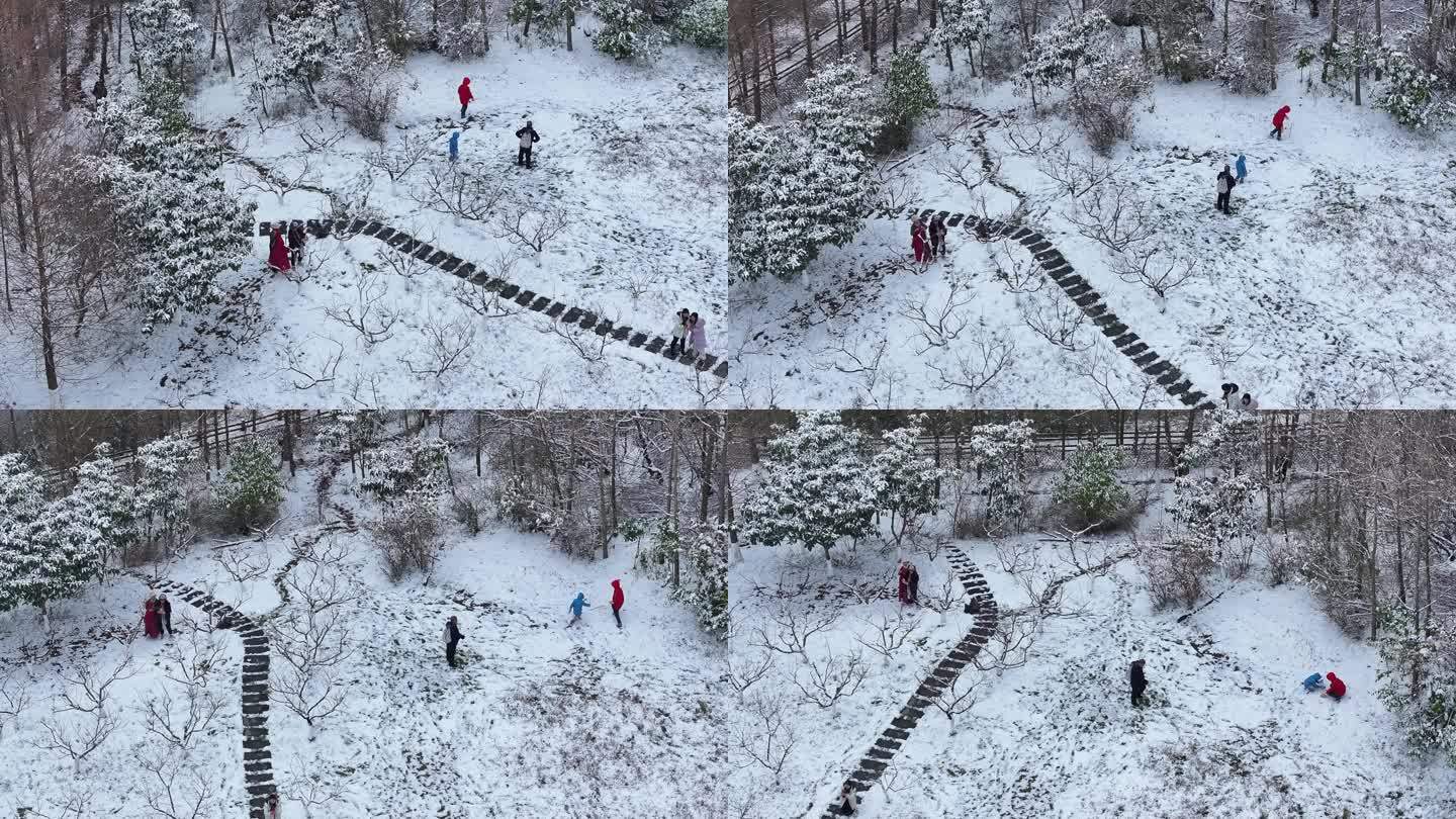 公园里雪景行人玩雪