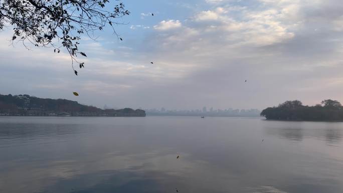 西湖边风景清晨落叶鸟声实拍素材
