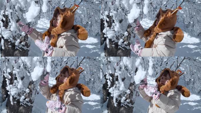 好奇的小女孩探索冬季公园触摸覆盖在树枝上的雪慢动作-特写