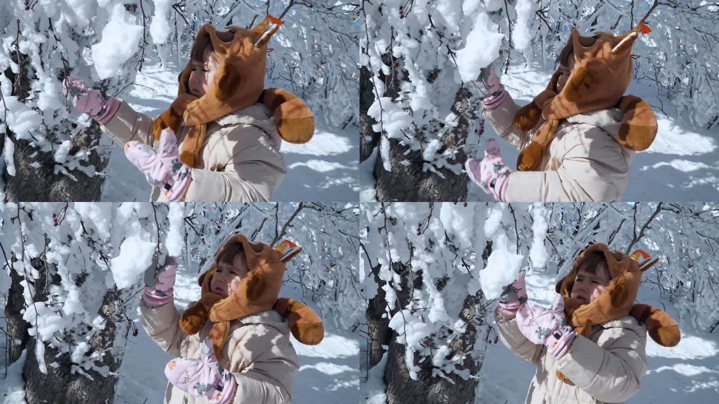 好奇的小女孩探索冬季公园触摸覆盖在树枝上的雪慢动作-特写