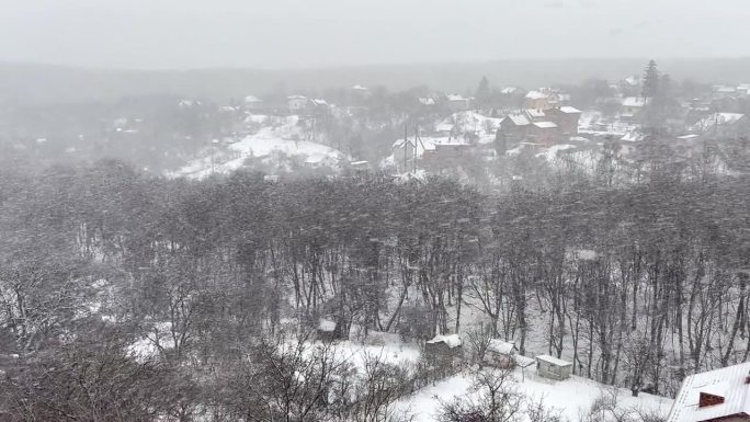 大雪的背景是森林里的树木和农舍。