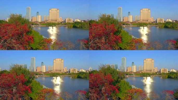 精选西湖木棉航拍大景