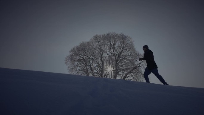 男人走在深雪中看着一棵树