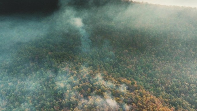 航拍污染山地和热带森林野火灾害