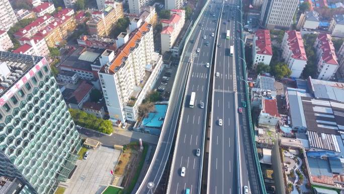 上海杨浦区邯郸路航拍车流马路道路大柏树立