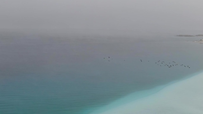 在一个雾蒙蒙的冬日鸟瞰土耳其的萨尔达湖。萨尔达湖上的飞鸭。