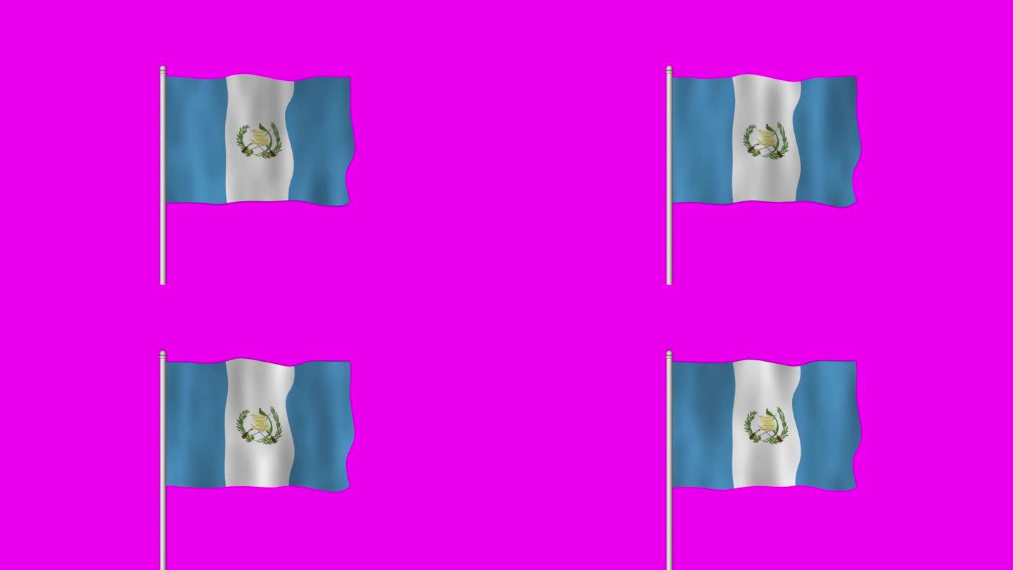 危地马拉国旗在紫色的屏幕上飘扬