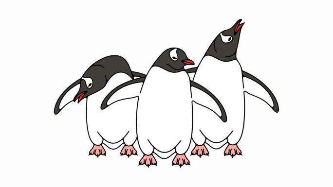 亚南极企鹅或巴布亚企鹅图形动画。动物，鸟，鸟类，羽毛，南极洲白色背景运动设计。4 k的决议