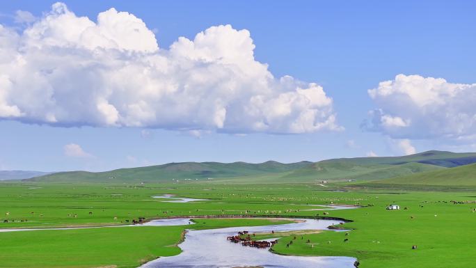 内蒙古呼伦贝尔草原航拍