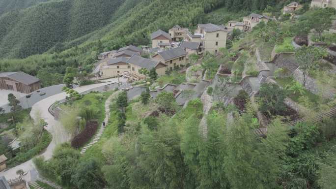 4K原格式灰片，未调色原拍乡村景区