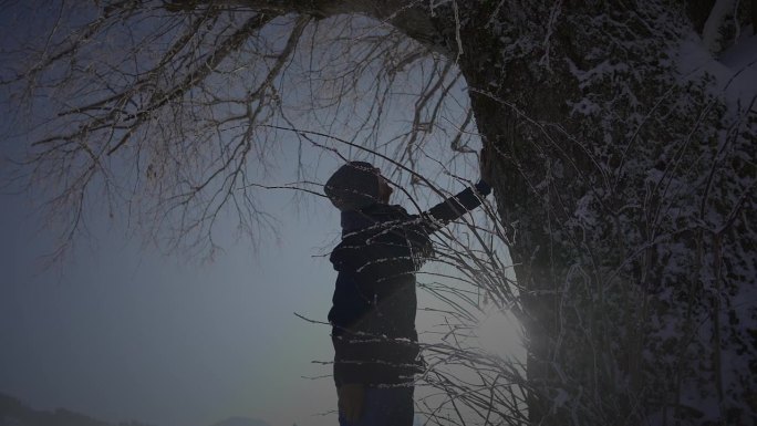 男人走在深雪中看着一棵树