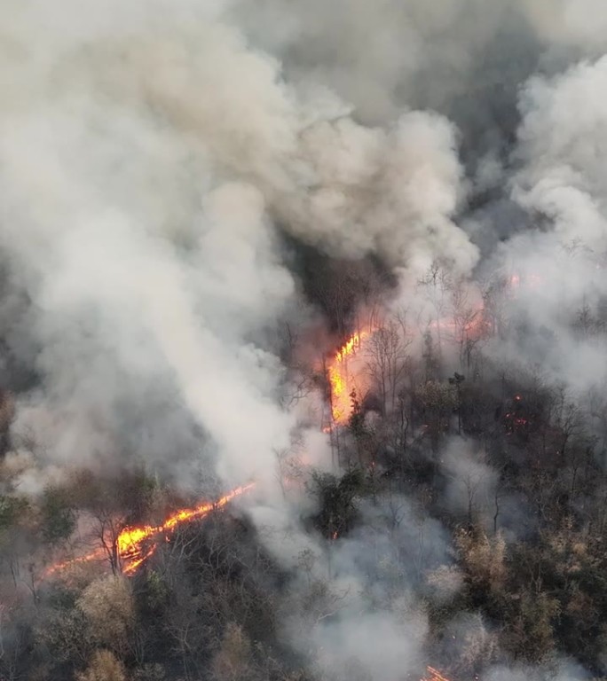 气候变化，野火释放二氧化碳(CO2)排放和其他导致气候变化的温室气体(GHG)。垂直视频