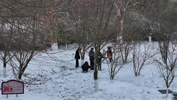 雪地里玩玩雪