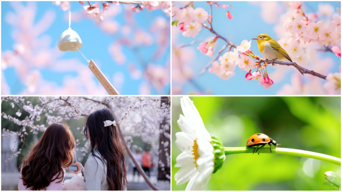 【春分】春分节气踏青赏花野外郊游春分习俗