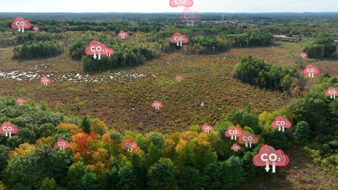 被砍伐的林地有动画的二氧化碳符号上升到大气中。碳排放增加。秋天树木的航拍拍摄。