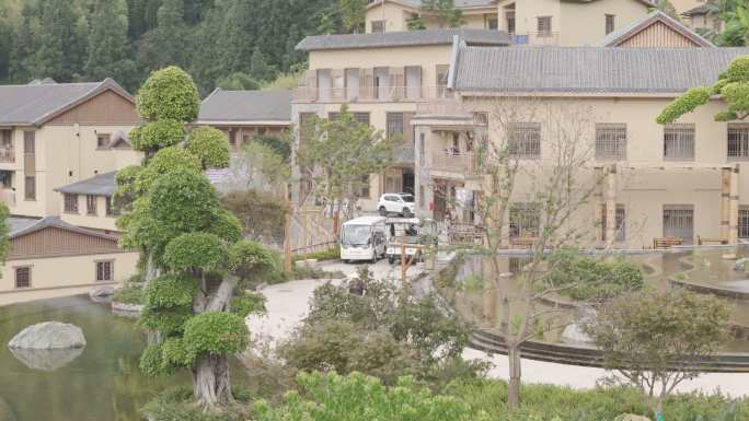 4K原格式灰片，未调色原拍乡村景区