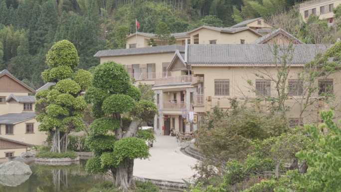 4K原格式灰片，未调色原拍乡村景区