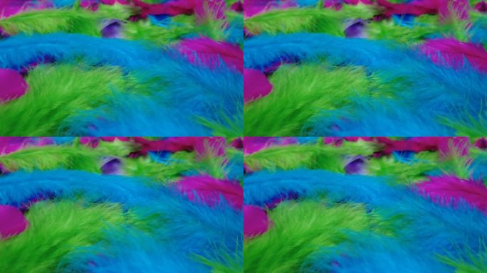 多彩的羽毛，优雅的动作。柔软的羽毛表面，4k视频，慢动作羽毛。