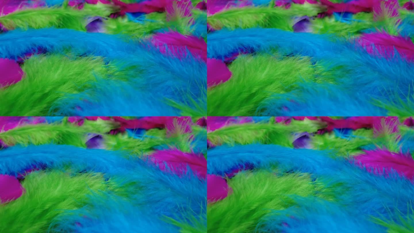 多彩的羽毛，优雅的动作。柔软的羽毛表面，4k视频，慢动作羽毛。