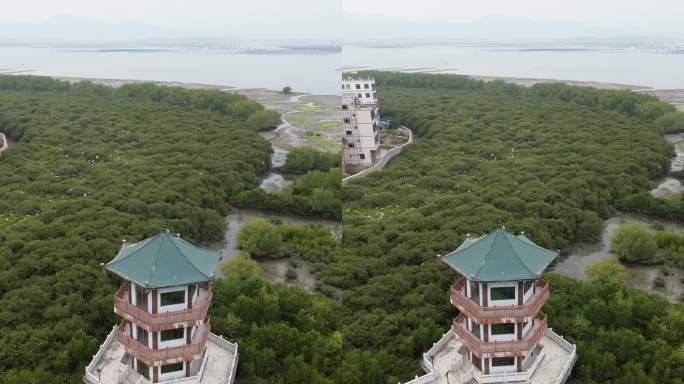 惠东黄埠盐洲岛湿地公园航拍风光