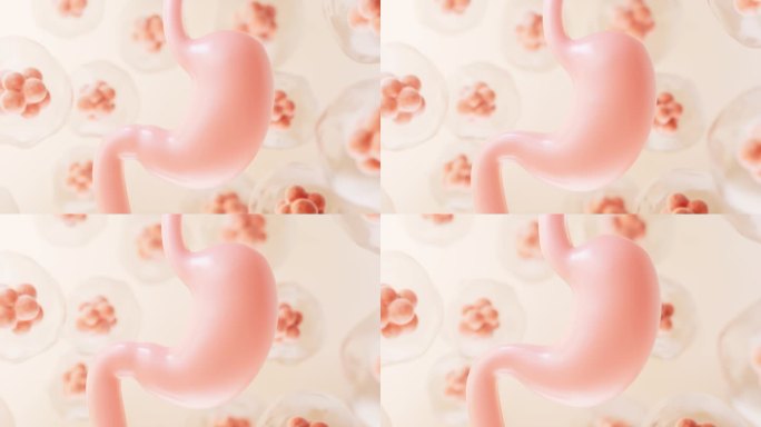 人体胃和细胞背景，3d渲染。