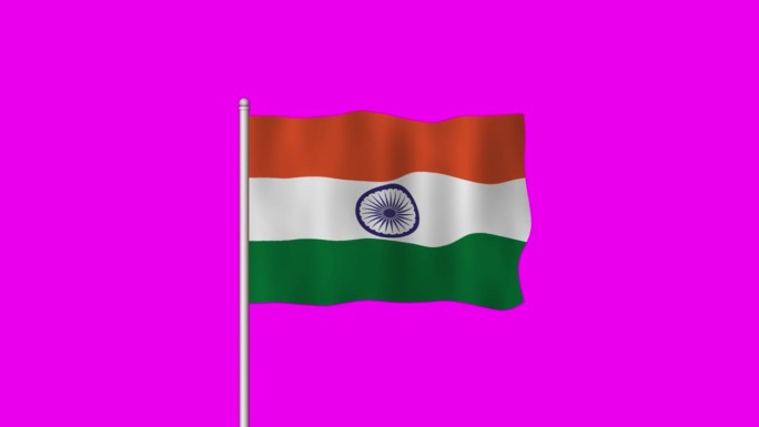 印度国旗在紫色的屏幕上飘扬
