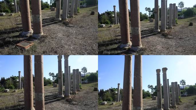 突尼斯迦太基的罗马圆柱的原始遗迹，在阳光照耀下的干草地上散落着文物