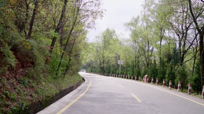 甘肃 麦积山 麦积山石窟 山路 林荫小道