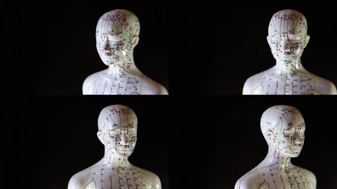 人体模型旋转的特写镜头，黑色背景上的穴位和经络