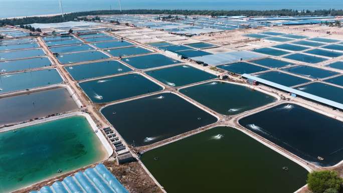 水产养殖基地航拍4k